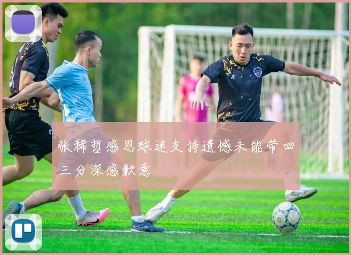 张稀哲感恩球迷支持遗憾未能带回三分深感歉意