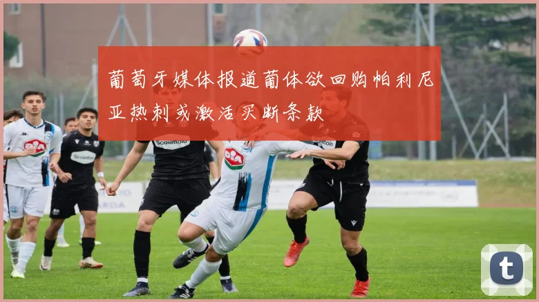 葡萄牙媒体报道葡体欲回购帕利尼亚热刺或激活买断条款